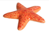 2 ¼" Starfish