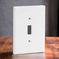 Light Switch Plate