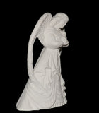 BEAUTIFUL ANGEL Holding BABY with Wings Spread