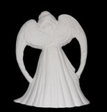 BEAUTIFUL ANGEL Holding BABY with Wings Spread