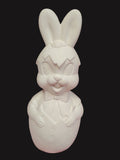Large Bunny in Cracked Egg