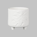 Monstera Footed Container Planter