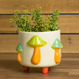 Mushroom Footed Container Planter