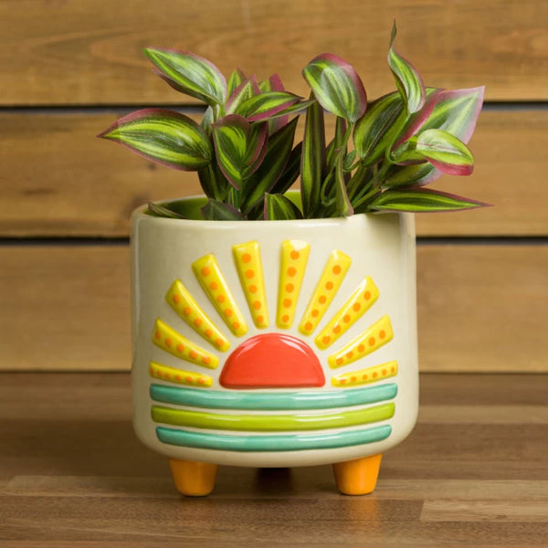 Sun Footed Container Planter