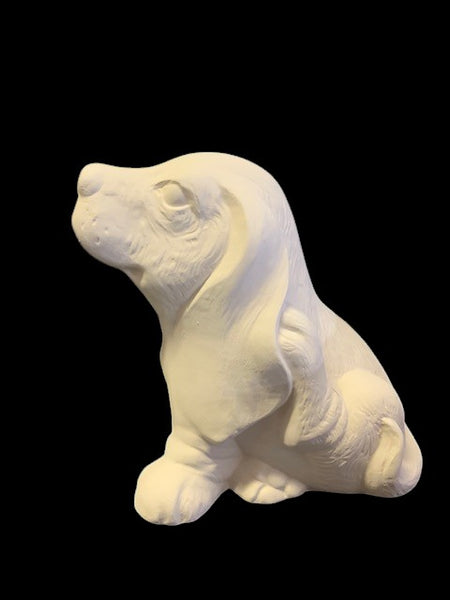 Basset Hound Scratching