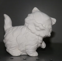 Playful Cat Kitty Cat Kitten
