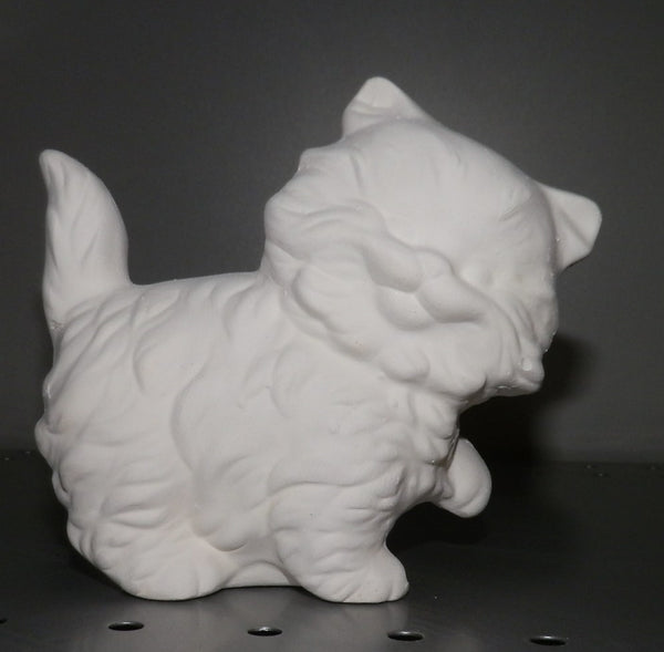 Playful Cat Kitty Cat Kitten