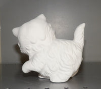 Playful Cat Kitty Cat Kitten