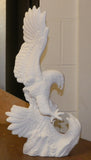 Driftwood Fighting Eagles