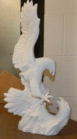 Driftwood Fighting Eagles
