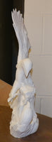 Driftwood Fighting Eagles