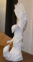 Driftwood Fighting Eagles