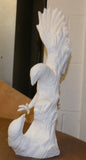 Driftwood Fighting Eagles