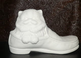 Alberta Kitten in Shoe