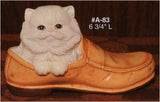 Alberta Kitten in Shoe