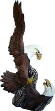 Driftwood Fighting Eagles