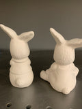 Dressed Bunny Rabbits