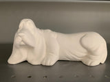 Dachshund Puppy Dog
