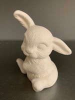 Bunny Rabbit Ear Up