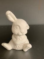 Bunny Rabbit Ear Up