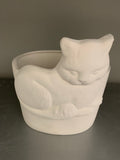 Kitten Planter