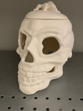 Halloween Skull with Spider Lid Light Up