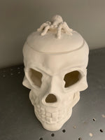 Halloween Skull with Spider Lid Light Up