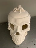 Halloween Skull with Spider Lid Light Up