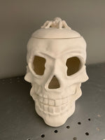 Halloween Skull with Spider Lid Light Up