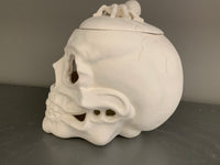 Halloween Skull with Spider Lid Light Up