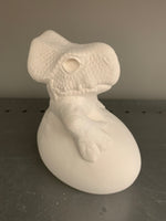 Critter Baby Dinosaur II