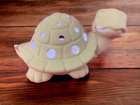 Turtle Lantern