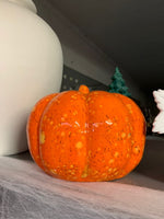 Plain FALL Pumpkin Halloween