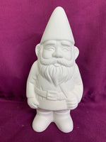 Gnome Brother - Jake