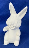 Big Teeth Bunny Rabbit