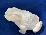 Outdoor Garden Frog Bullfrog
