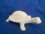 Garden or Plant Turtle