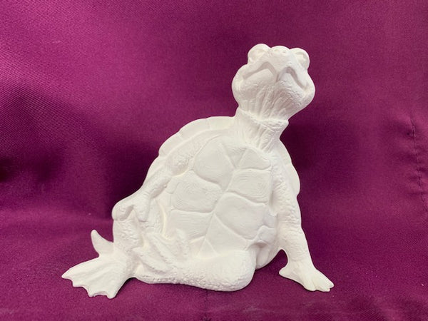 Turtle with Attitude Leaning