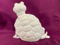 Turtle with Attitude Leaning