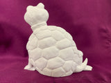 Turtle with Attitude Leaning