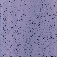 Mayco SP-253 Purple Haze Speckled Stroke & Coat Glaze (8 oz.)