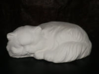 Large Sleeping Kitty Cat Kitten