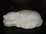 Large Sleeping Kitty Cat Kitten