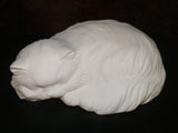Large Sleeping Kitty Cat Kitten