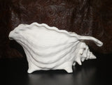 Ocean Beach SEASHELL Sea Shell Planter Large
