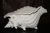 Ocean Beach SEASHELL Sea Shell Planter Large