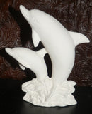 Mother and Baby Dolphins