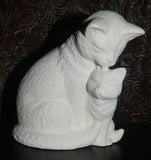 Nurturing Cats Kitten Kitty Cat