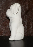 BUTCH the Bull Dog Bulldog Puppy