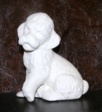 Poodle Sitting Pretty